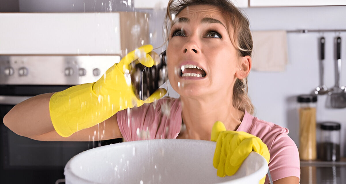 The Emergency Plumbing Fix Bucks County Homeowners Can’t Afford to Ignore – monthyear